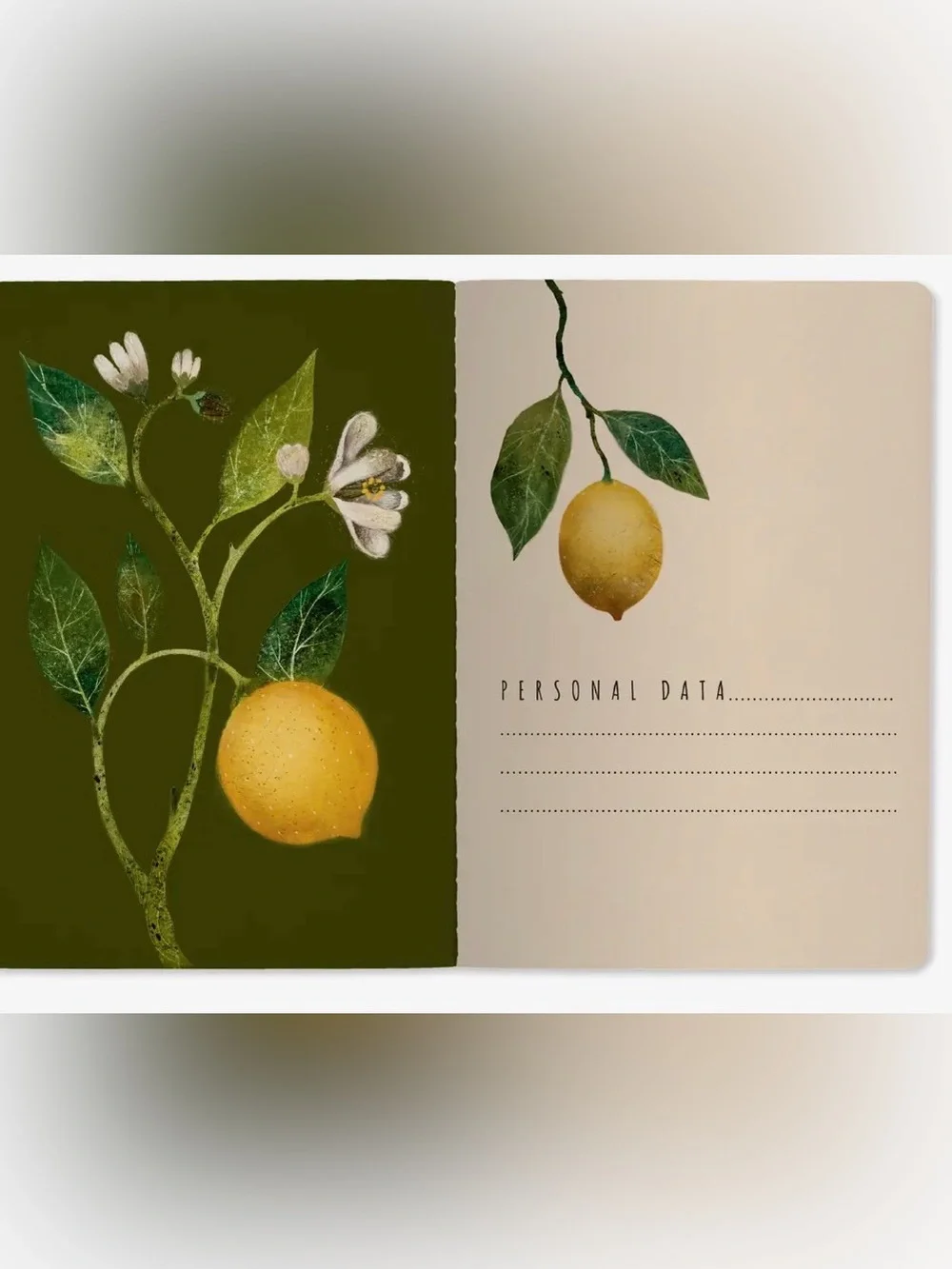 Set of 3 Gorgeous Gold Foil Detailed Soft Touch Notebook Journals- lovely gift!